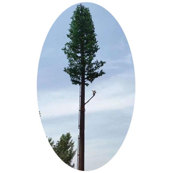 可定制20m-50m镀锌钢仿生树塔单极天线伪装电信塔配件树