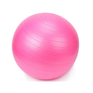 China 65cm Yoga Balance Ball Birthing Pilates Stability Ball Supports 2000lbs on sale