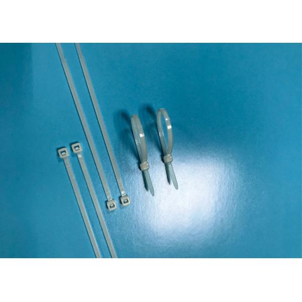 Quality PA66 Nylon Cable Ties W2.5 * H100mm * T1.1mm Long Life Span For Bundling wholesale