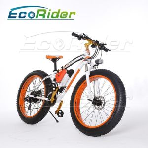 Cheap Colorful Big Two Wheel Electric Bike With A Max Range 40km LED Light for sale