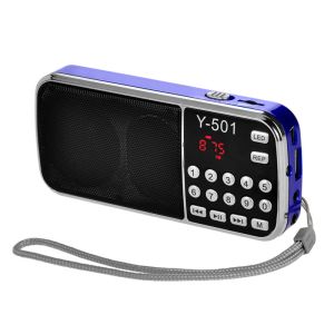 Portable FM/AM Radio Player with LCD Display and Audio Output