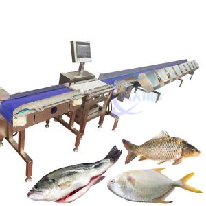 Cheap Fully Automatic Fish Weight Sorting Machine Food Conveyor Weighing Scale for sale