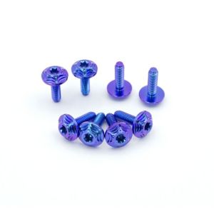 Blue Purple Gradient Tc4 Motorcycle Titanium Alloy Screws ANSI ASME Standard