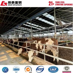 Corrosion-resistant Q355B automated steel structure breeding farm construction