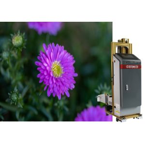 China Auto Sensor Tracing Foldable 3d Wall Printer With Rotatable Printhead on sale China Auto Sensor Tracing Foldable 3d Wall Printer With Rotatable Printhead on sale