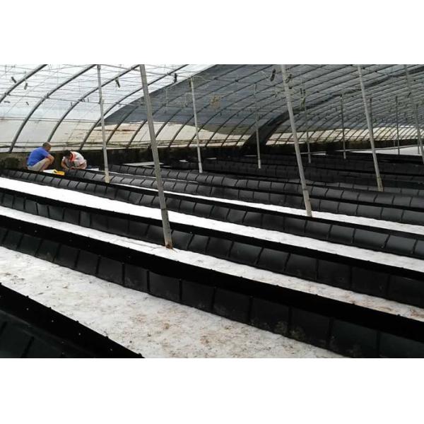 Soilless Growing System PP Growing Trough Colletcing Trough Black Growing Tomatoes Rose Cucumbers