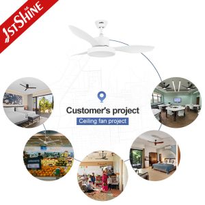 48" AC/DC Copper Motor Ceiling Fan with Remote Control and Natural Wind Function