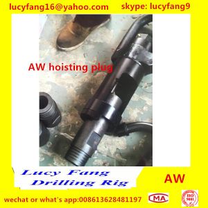 China China made hot good quality AW Hoisting Plug with good price on sale