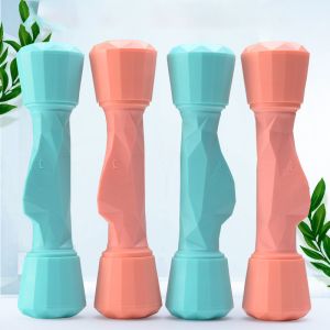 TPE Light Blue Fitness Neoprene Dumbbell 1.1kg Neoprene Coated Dumbbells