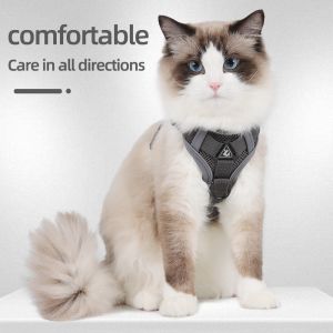 Leash for small dogs and cats with reflective breathable vest pet harness