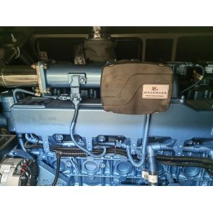 200kW 300kW Methanol Natural Gas Generator Set with Electrical Start and Open