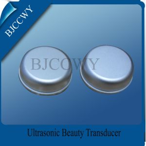 25/110 Piezoelectric Disk Piezo Ceramic Disc Ultrasonic Disc