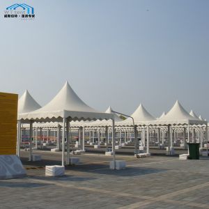 China Commercial 10 x 10 Pagoda Canopy Tent For Garden White And Black Color on sale