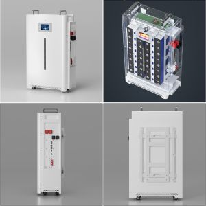 Oem Types Lithium Ion Batteries Inverter For Home Energy Solar Power Battery