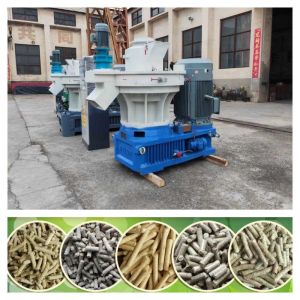 Fully automatic 1-12mm 2 tons Feed Pellet Production Line with CE certificate