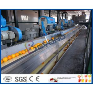 Fruit Juice Processing Equipment With Citrus / Tangerines / Orange Juice