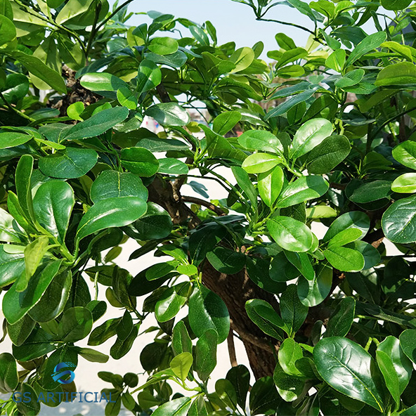Eco - Friendly Artificial Decorative Trees / Polyscias Leaves Tree Plant