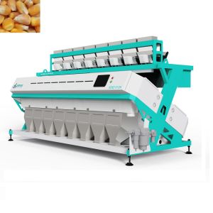 Intelligent Japonica Thailand Rice Color Sorter Machine Pecan Sorting Machine