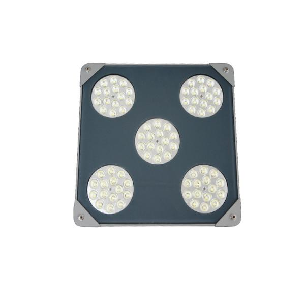 Quality 80W LED Canopy Lighting 130LM/W Explosion appoved, GS, CE,DLC certificated wholesale