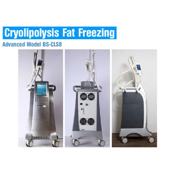 Quality Liposuction Cryolipolysis Body Slimming Machine , Fat Melting Machine CE Approved wholesale