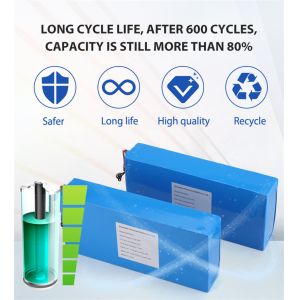 LiFePO4 Lithium Battery 24V 36V 60V 72V 50AH 60AH 100AH Rechargeable Lithium Ion