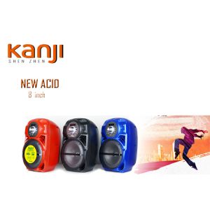 Multifunctional Portable Party Speakers Bluetooth With Rechargeable Li Battery