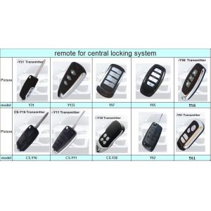 Remote Central Locking System