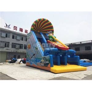 Inflatable Dry Slide
