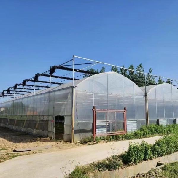 Steel Structure Multi-Span Plastic Greenhouse Package Size 50.00cm * 60.00cm *