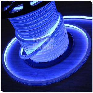 New design square blue 16*16m 220v flexible square led neon flex light