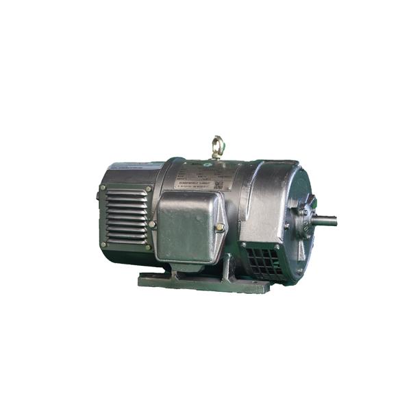Z2-41 5.5kW Three Phase DC Motor 85Kg High Voltage Induction Motor