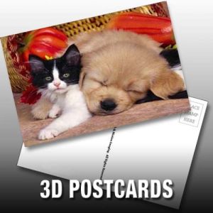 Flip Effect 3D Lenticular Postcard Cute Puppies and Kittens Design