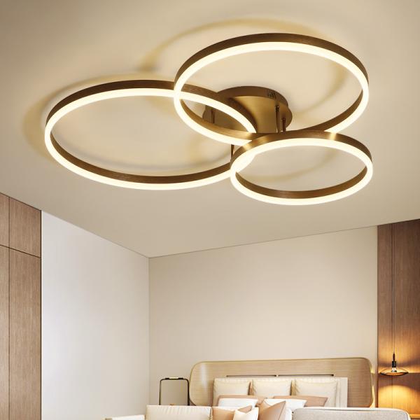 Drop Black ceiling light panels Ring Ceiling lamp For indoor home Lighting (WH-MA-95)