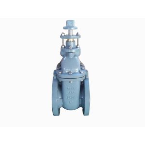 China (ANSI) Cast Iron Gate Valve on sale