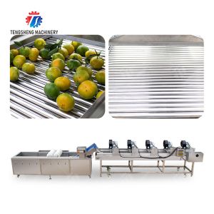 Fruits cleaning and drying production line Fruit Vegetable FOOD processing