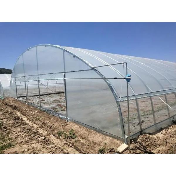 Quality H Section Customized Steel Structure Greenhouse Design on Multi Span US Market Needs wholesale