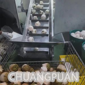 Efficient Coconut Water And Milk Processing Machine Bottle Filling System 1 Year