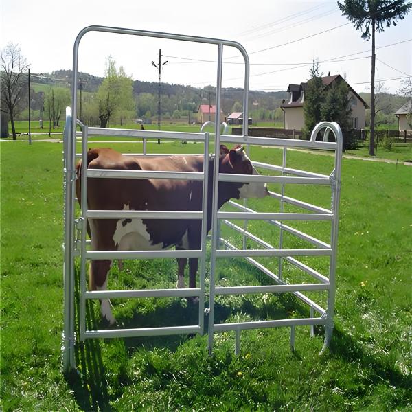 2.4M American Livestock Cattle Corral Fencing Round Pipe Style Cattle Fencing