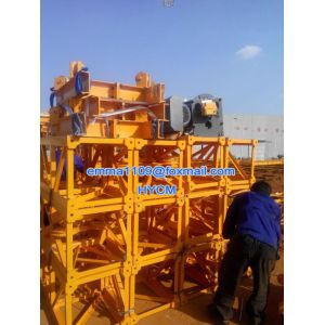 QT10 9M Boom Inner Climbing Tower Crane 700kg Capacity Remote Control