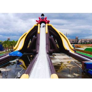 Cartoon Theme Giant Inflatable Slide With Three Lanes Silk - Screen Printing
