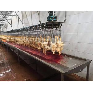Multifunctional Chicken Turkey Slaughtering Machine Poultry Slaughter Line