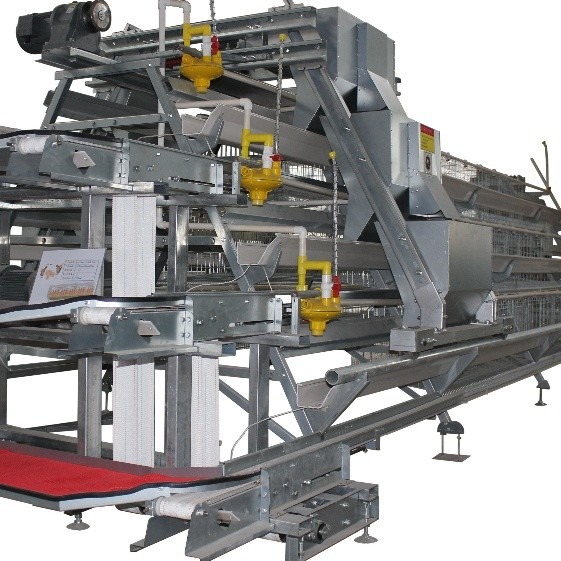 Quality 1950×2300×2000 Battery Egg Layer Cage Farming Equipment And Egg Collection Disinfection System wholesale