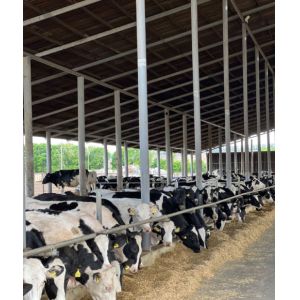 Weld Steel Structure Cow Shed Construction , Temporary Livestock Shelter