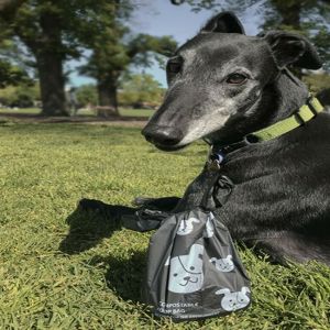 Eco Friendly 100 Biodegradable Dog Waste Poop Bags Custom Printed With Handles