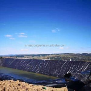 1m-8m Width HDPE Geomembrane for Landfill Artificial Lake Tank Dam Fish Pond