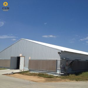 Customizable Galvanized Steel Poultry House with Automated Ventilation