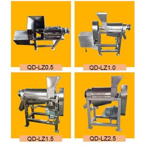 Automatic Apple Juicer Machine 100kg Juice Extractor Machine