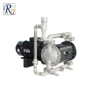 China RDE25 Motor Diaphragm Pump Stainless Steel Electric Diaphragm Pump on sale
