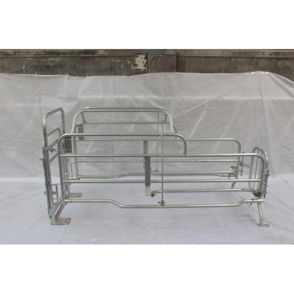 Quality Good Welding Pig Farrowing Crate Farming Equipment Free CAD Drawing Design wholesale