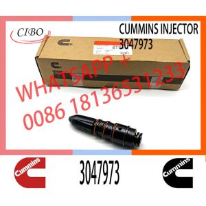 China Fuel Injector 3047973 3032306 3054228 3054233 3054251 4914328 For V28 VT28 NT855 NTA855 on sale